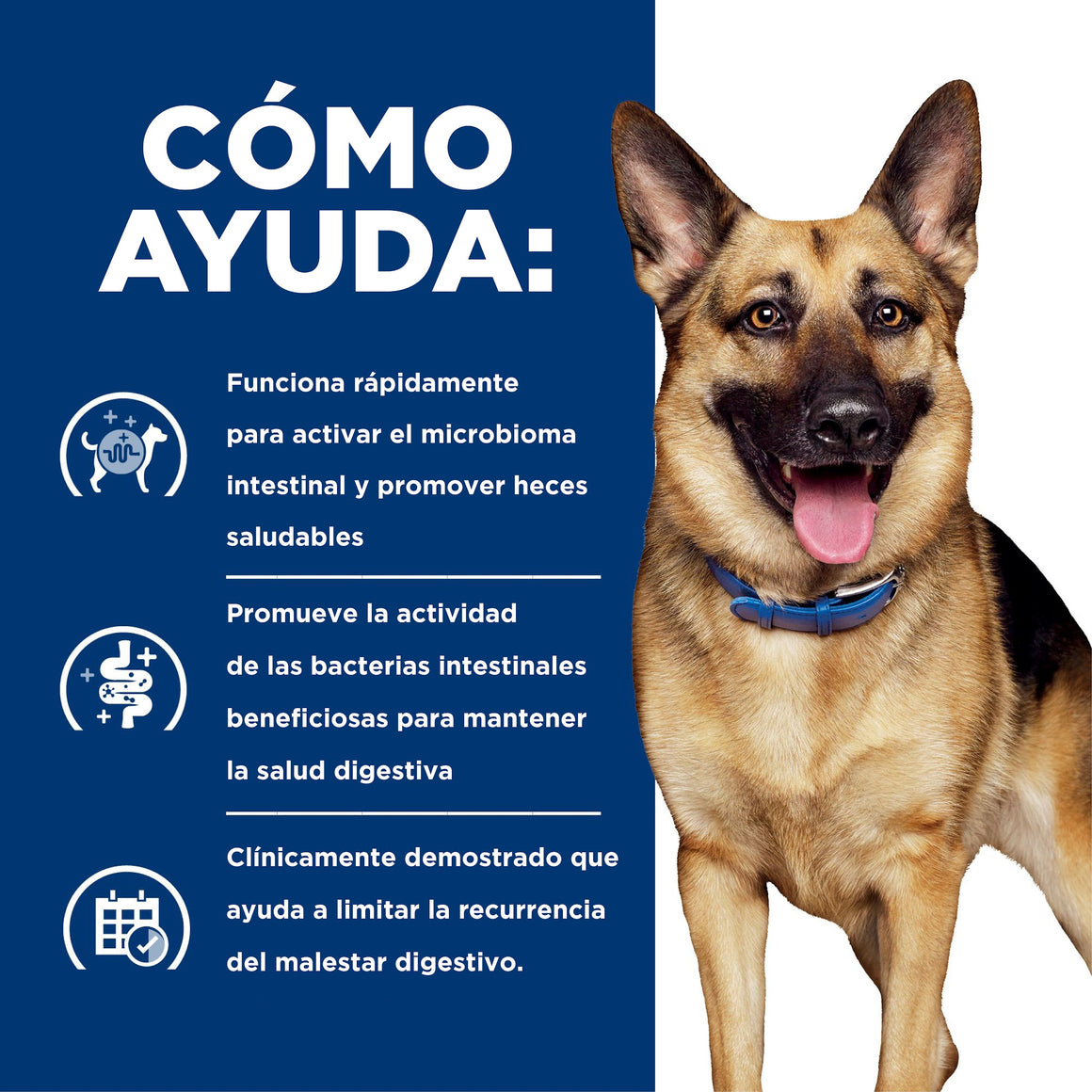 Hill's Prescription Diet Gastrointestinal Biome Small Bites – Alimento Seco para Perros 1,5 kg