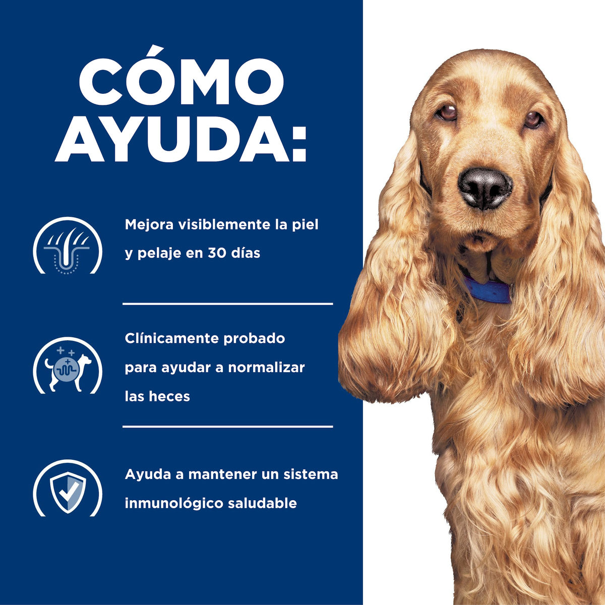 Hill's Prescription Diet z/d Sensibilidades Alimentarias – Alimento Seco para Perros 3,6 kg