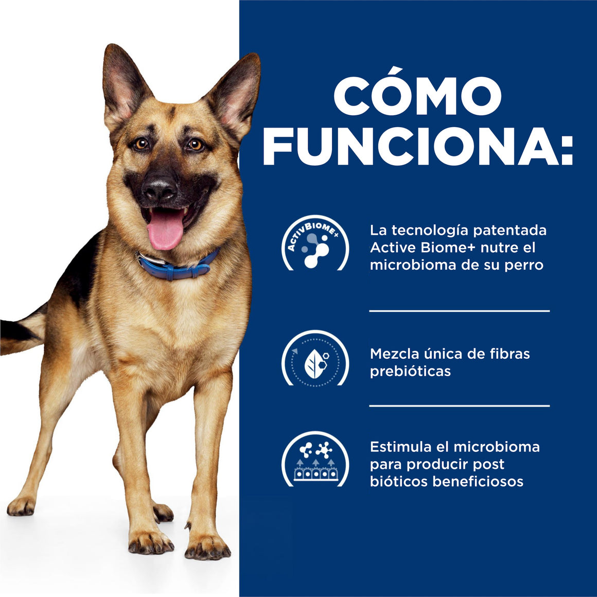 Hill's Prescription Diet Gastrointestinal Biome Estofado de Pollo y Vegetales – Alimento Húmedo para Perros 354 g