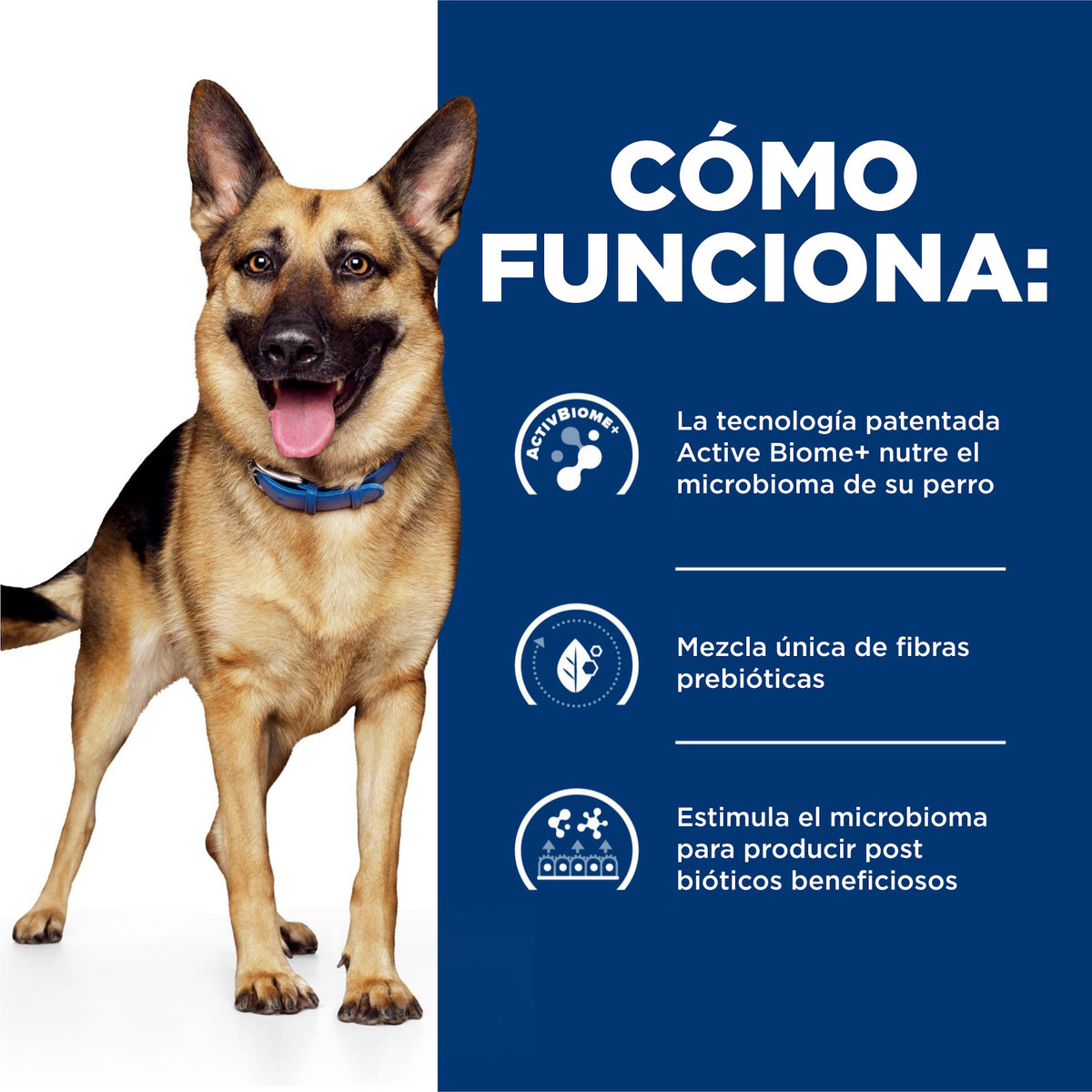 Hill's Prescription Diet Gastrointestinal Biome Estofado de Pollo y Vegetales – Alimento Húmedo para Perros 354 g