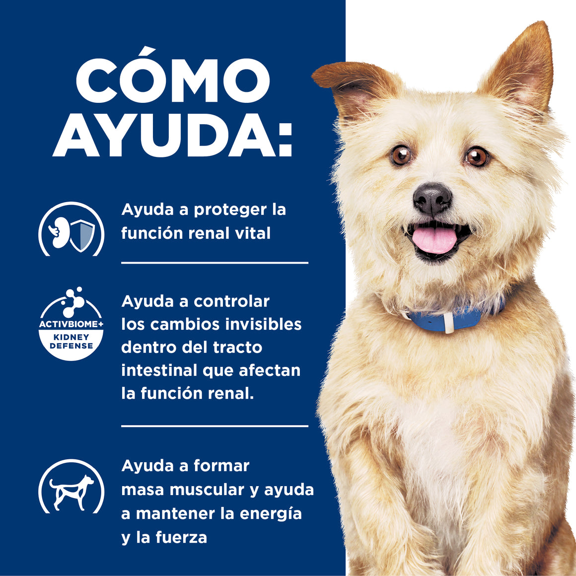 Hill's Prescription Diet k/d Cuidado Renal – Alimento Húmedo para Perros 363 g