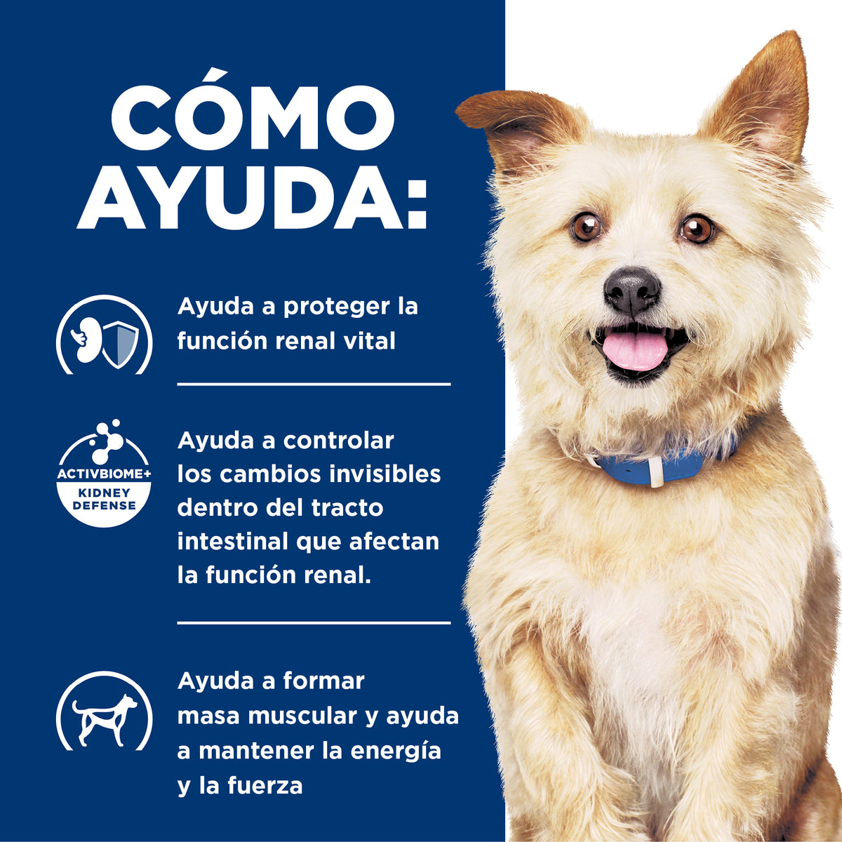 Hill's Prescription Diet k/d Cuidado Renal – Alimento Húmedo para Perros 363 g
