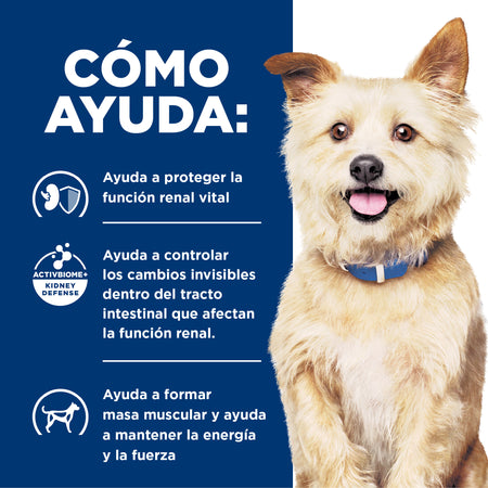 Hill's Prescription Diet k/d Cuidado Renal – Alimento Húmedo para Perros 363 g