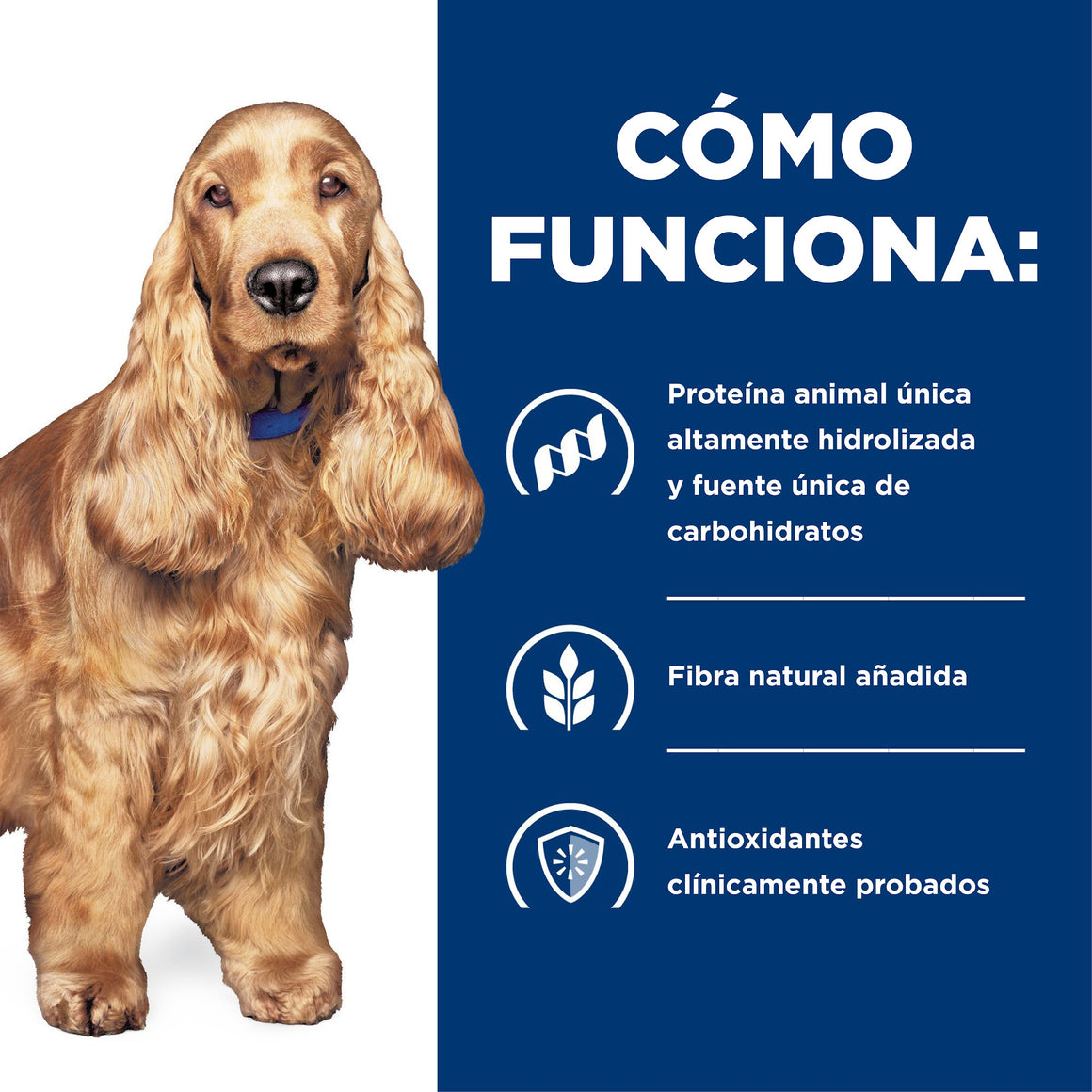 Hill's Prescription Diet z/d Sensibilidades Alimentarias – Alimento Seco para Perros 3,6 kg