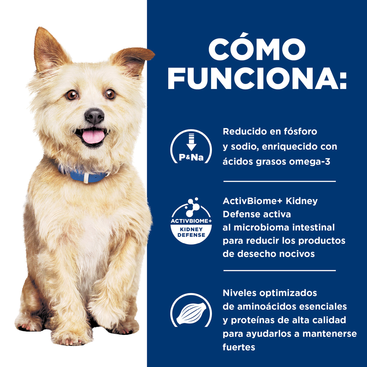 Hill's Prescription Diet k/d Cuidado Renal – Alimento Húmedo para Perros 363 g