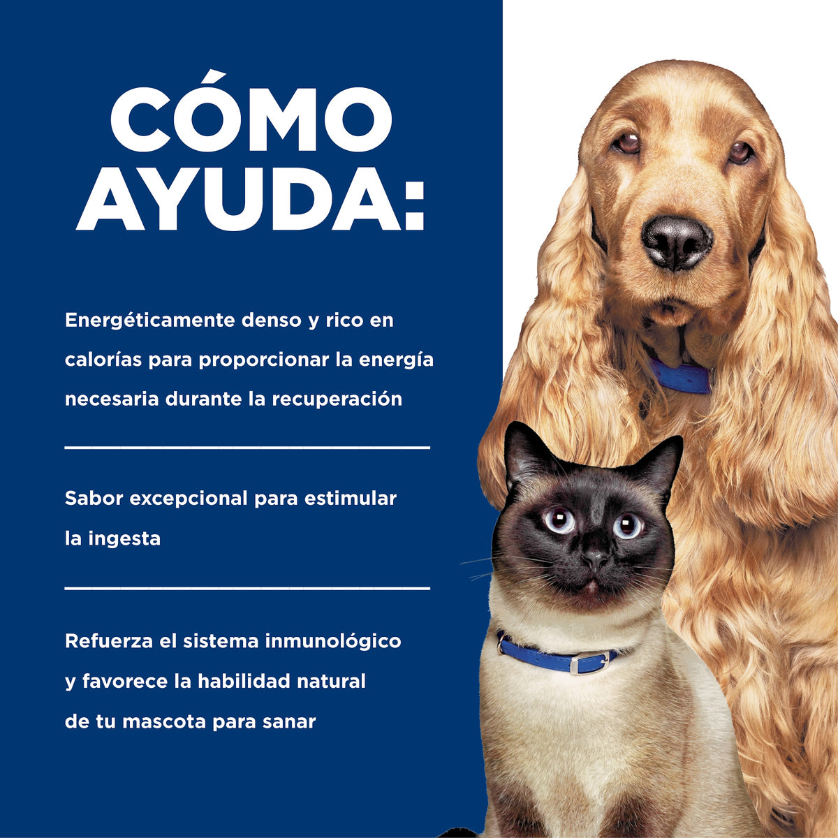 Hill's Prescription Diet a/d Urgent Care – Alimento Húmedo para Perros y Gatos en Recuperación 156 g