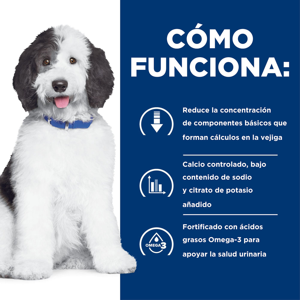 Hill's Prescription Diet c/d Multicare Cuidado Urinario – Alimento Seco para Perros