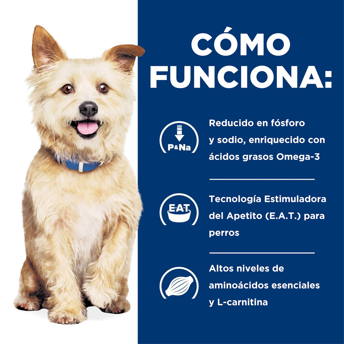 Hill's Prescription Diet k/d Cuidado Renal – Alimento Seco para Perros 1,5 kg