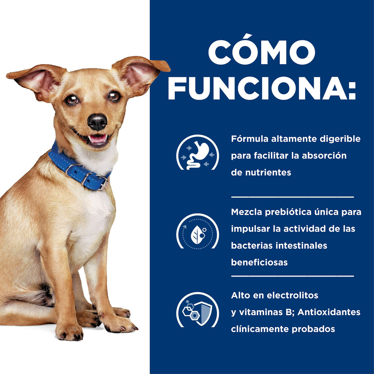 Hill's Prescription Diet i/d Small Bites Cuidado Digestivo – Alimento Seco para Perros 1,5 kg