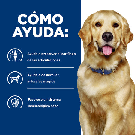 Hill's Prescription Diet j/d Cuidado Articular – Alimento Seco para Perros 3,9 kg