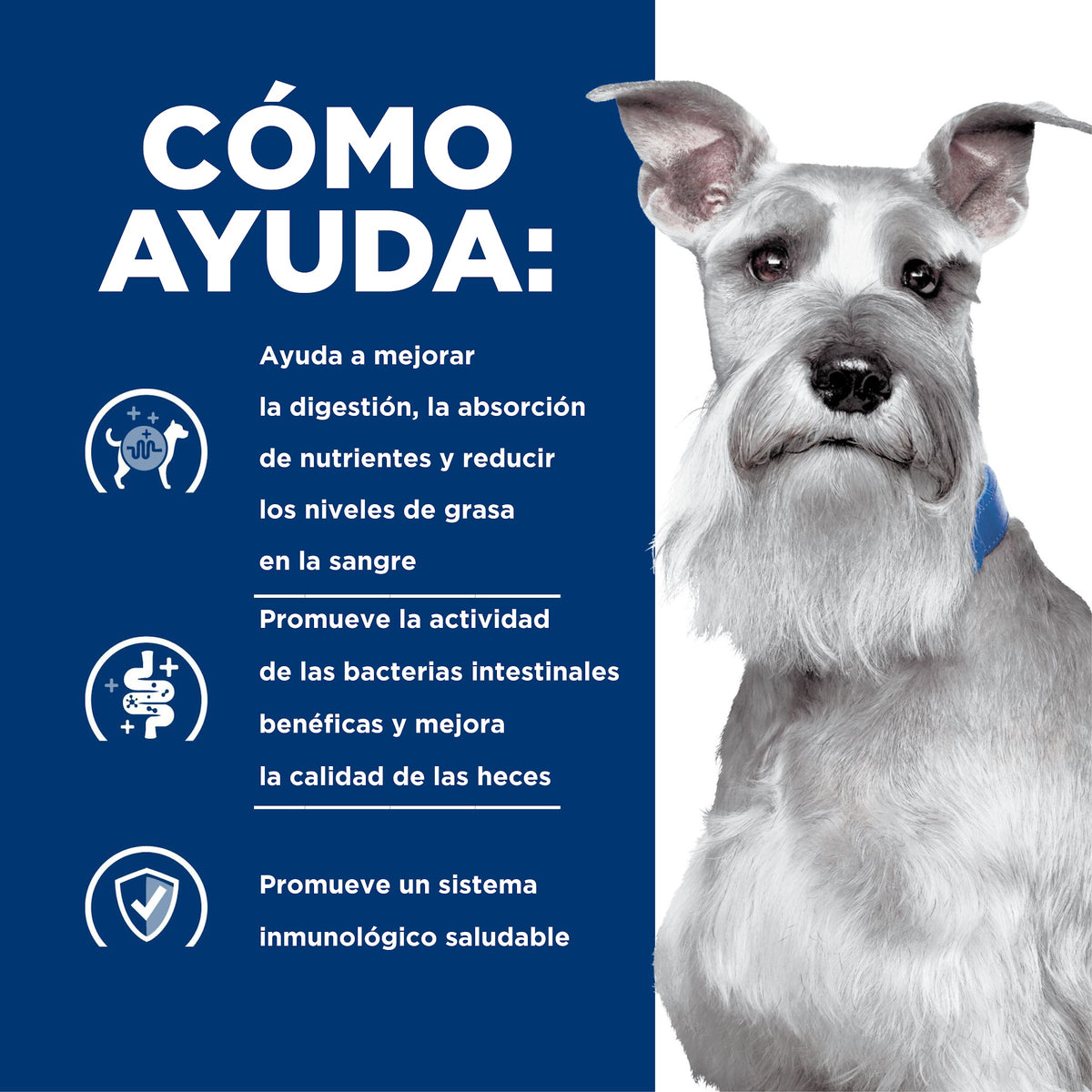 Hill's Prescription Diet i/d Low Fat Cuidado Digestivo – Alimento Húmedo para Perros 369 g