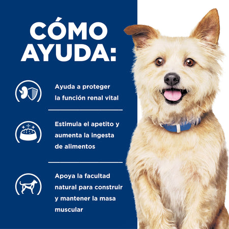 Hill's Prescription Diet k/d Cuidado Renal – Alimento Seco para Perros 1,5 kg