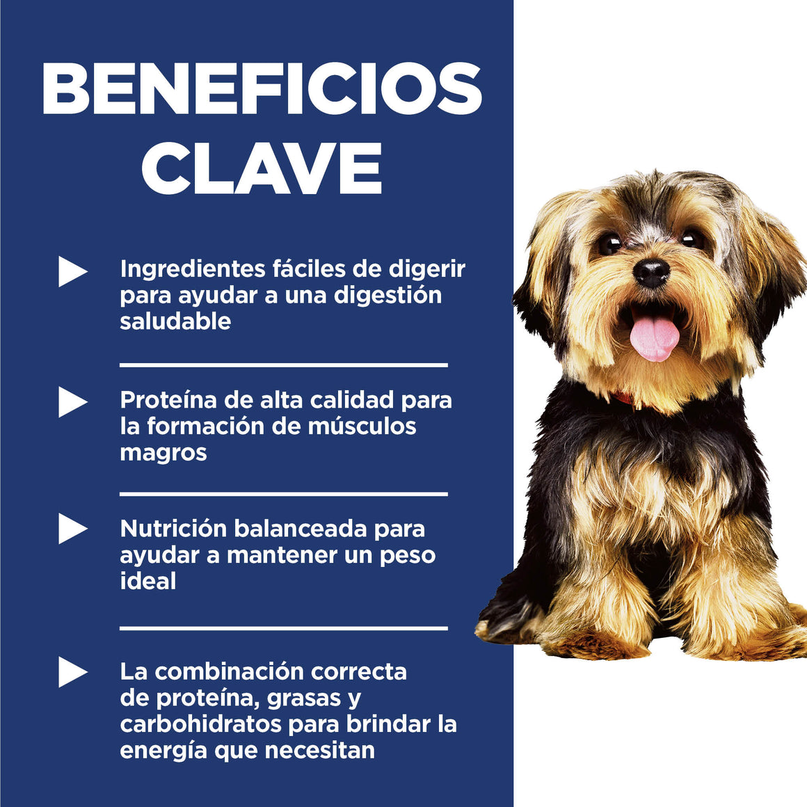 Hill's Science Diet Adult Small & Mini – Alimento Seco para Perros Adultos de Razas Pequeñas y Mini 2 kg