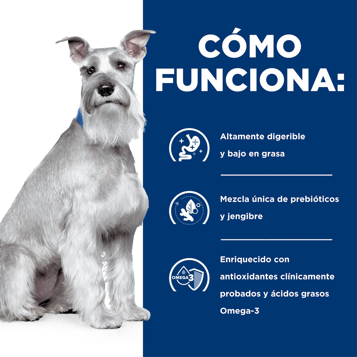 Hill's Prescription Diet i/d Low Fat Cuidado Digestivo – Alimento Húmedo para Perros 369 g