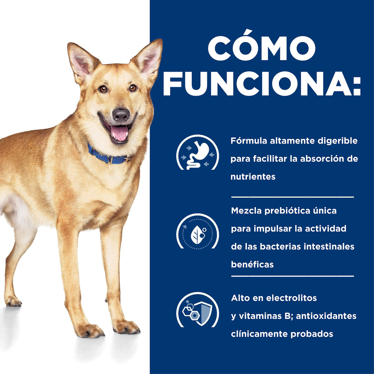 Hill's Prescription Diet i/d Estofado de Pollo y Vegetales – Alimento Húmedo para Perros 354 g