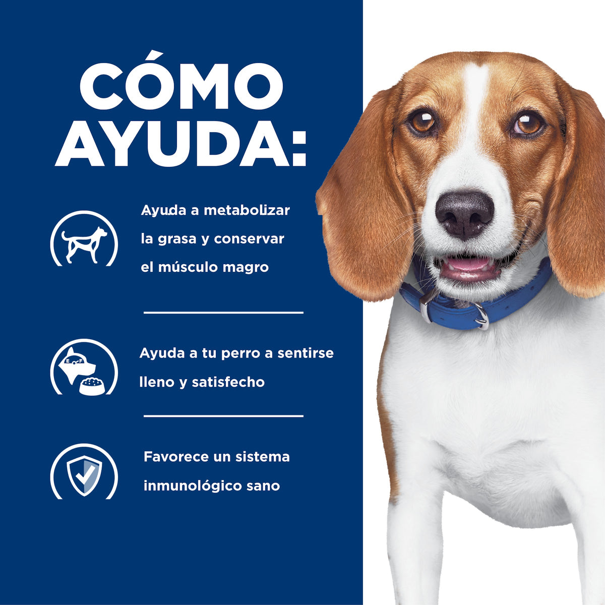 Hill's Prescription Diet r/d Control de Peso – Alimento Seco para Perros 1,5 kg