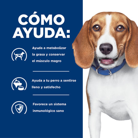 Hill's Prescription Diet r/d Control de Peso – Alimento Seco para Perros 1,5 kg