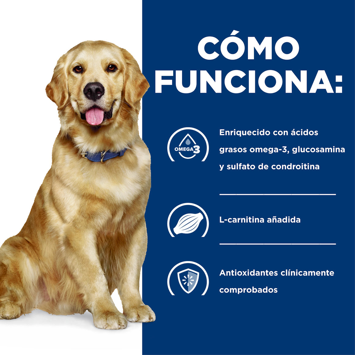 Hill's Prescription Diet j/d Cuidado Articular – Alimento Seco para Perros 3,9 kg