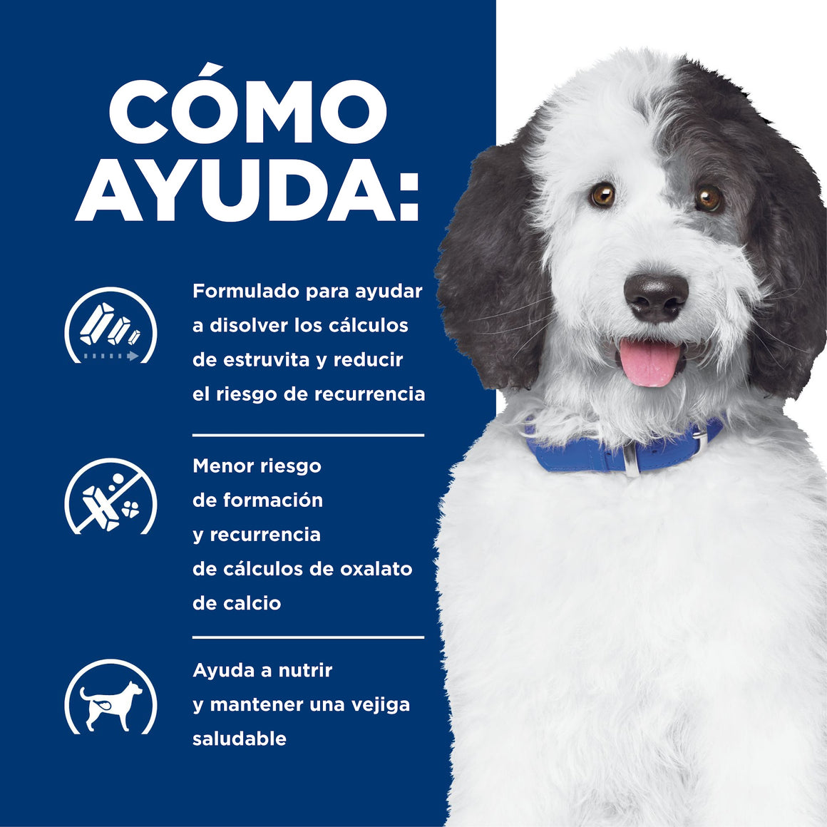 Hill's Prescription Diet c/d Multicare Cuidado Urinario – Alimento Seco para Perros