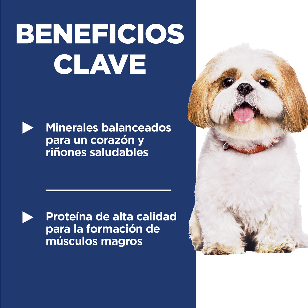 Hill's Science Diet Adult 7+ Small Bites – Alimento Seco para Perros Senior, Bocados Pequeños 2 kg