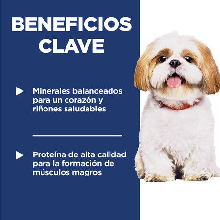 Hill's Science Diet Adult 7+ Small Bites – Alimento Seco para Perros Senior, Bocados Pequeños 2 kg