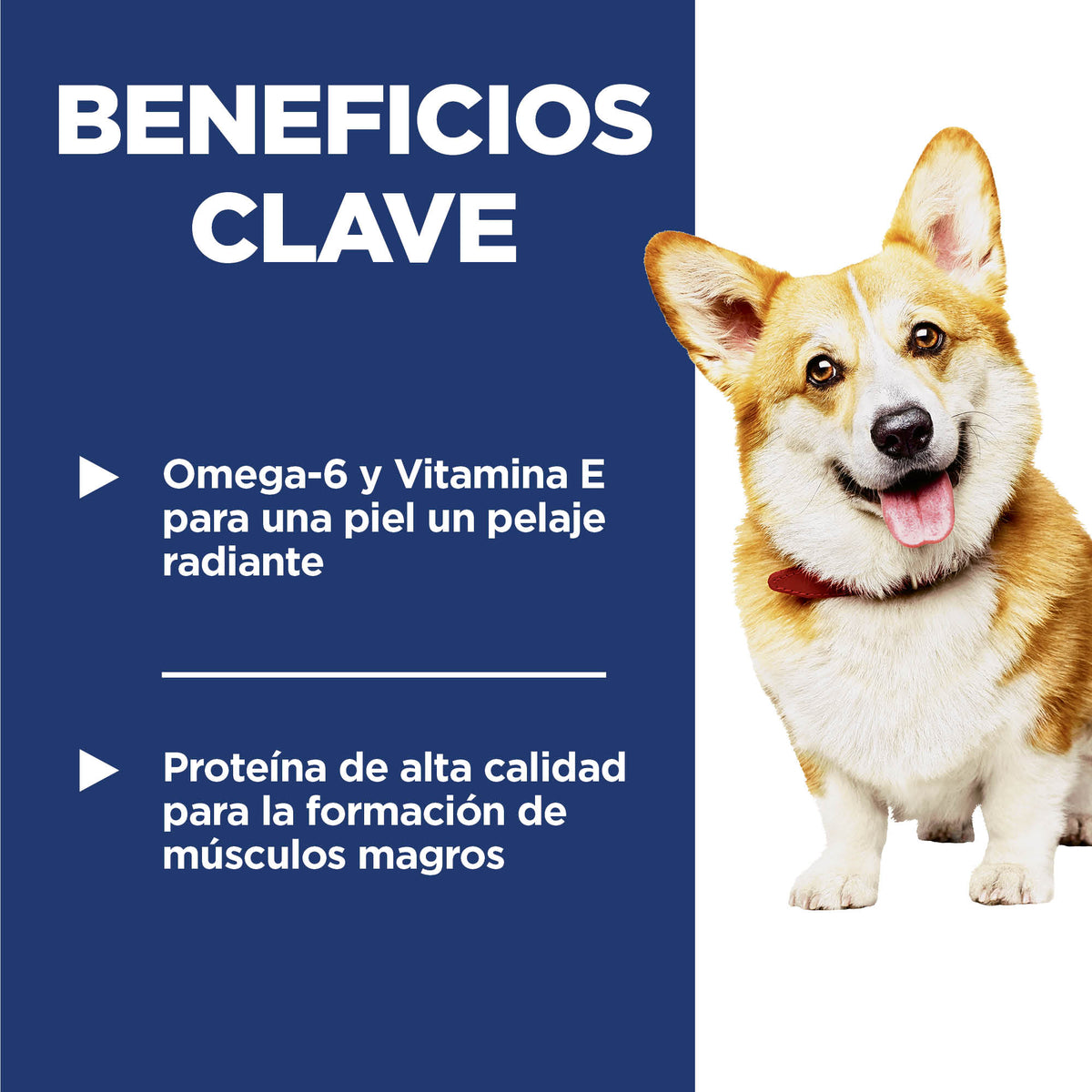 Hill's Science Diet Adult Small Bites – Alimento Seco para Perros Adultos, Bocados Pequeños 2 kg