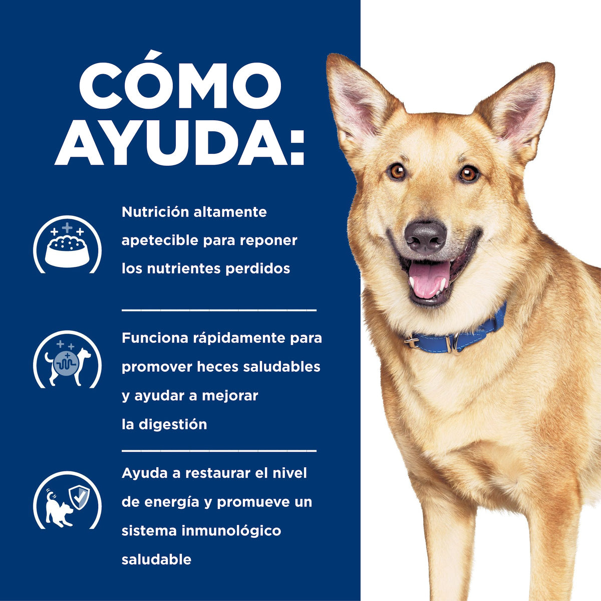Hill's Prescription Diet i/d Estofado de Pollo y Vegetales – Alimento Húmedo para Perros 354 g