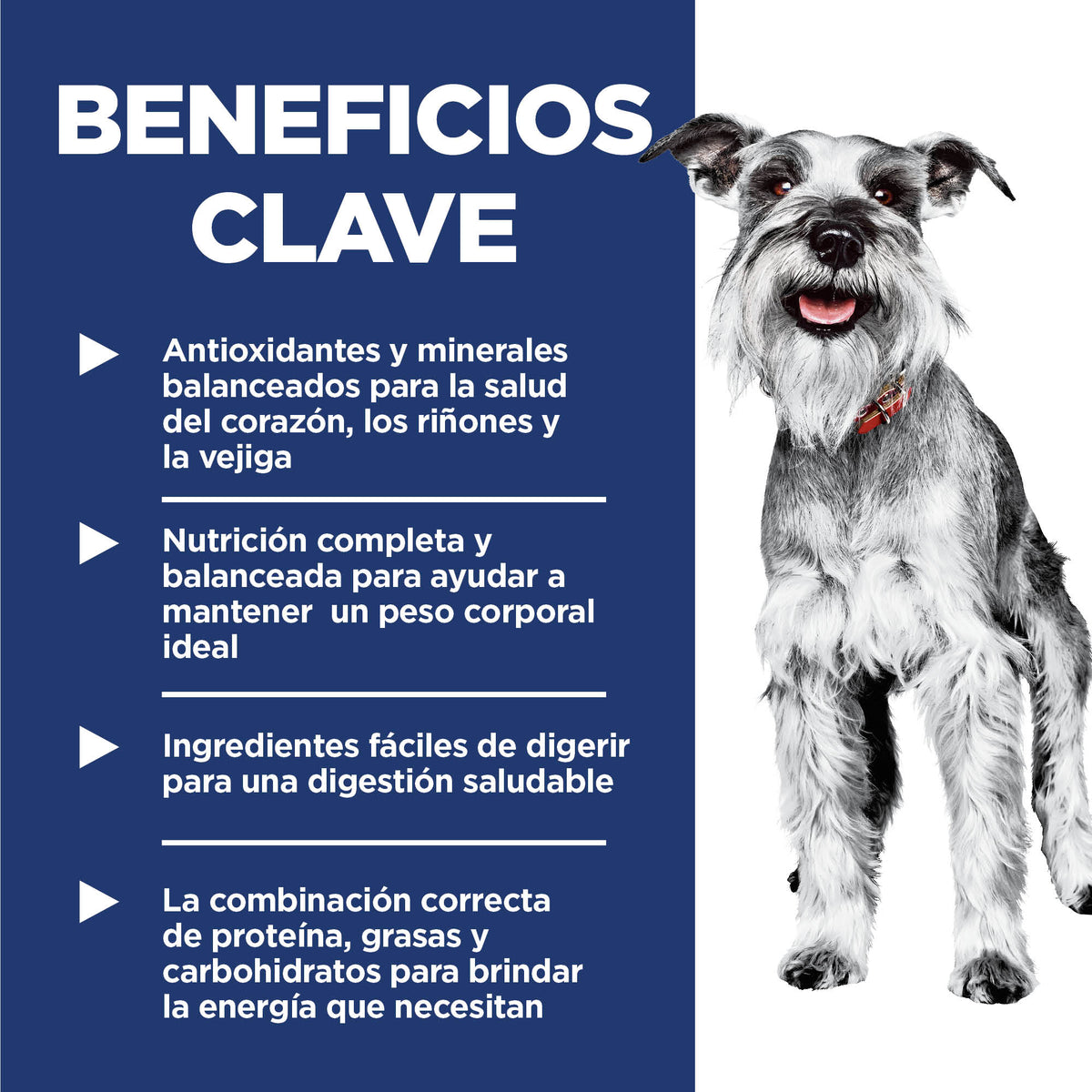 Hill's Science Diet Adult 7+ Small & Mini – Alimento Seco para Perros Senior de Razas Pequeñas y Mini 2 kg