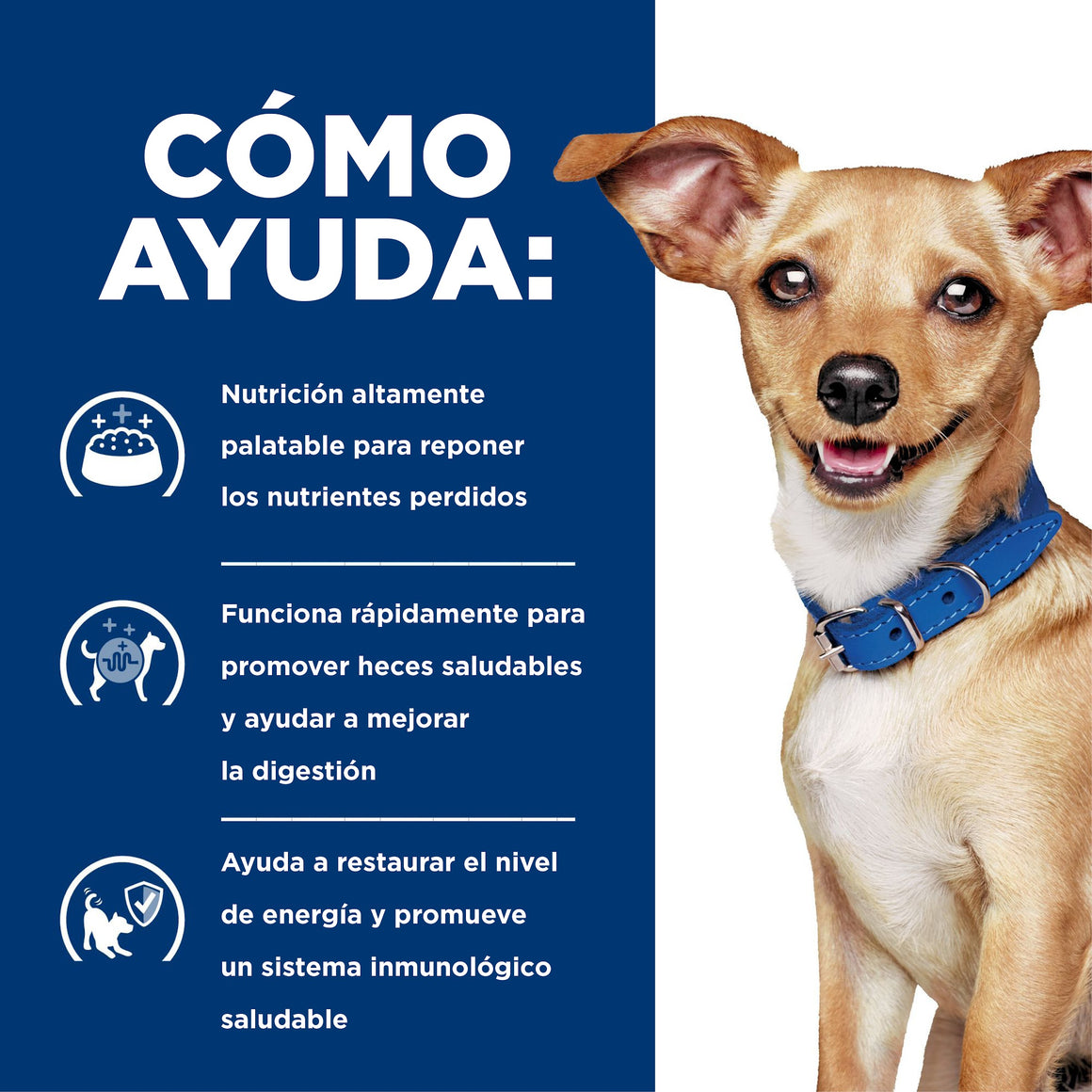 Hill's Prescription Diet i/d Small Bites Cuidado Digestivo – Alimento Seco para Perros 1,5 kg
