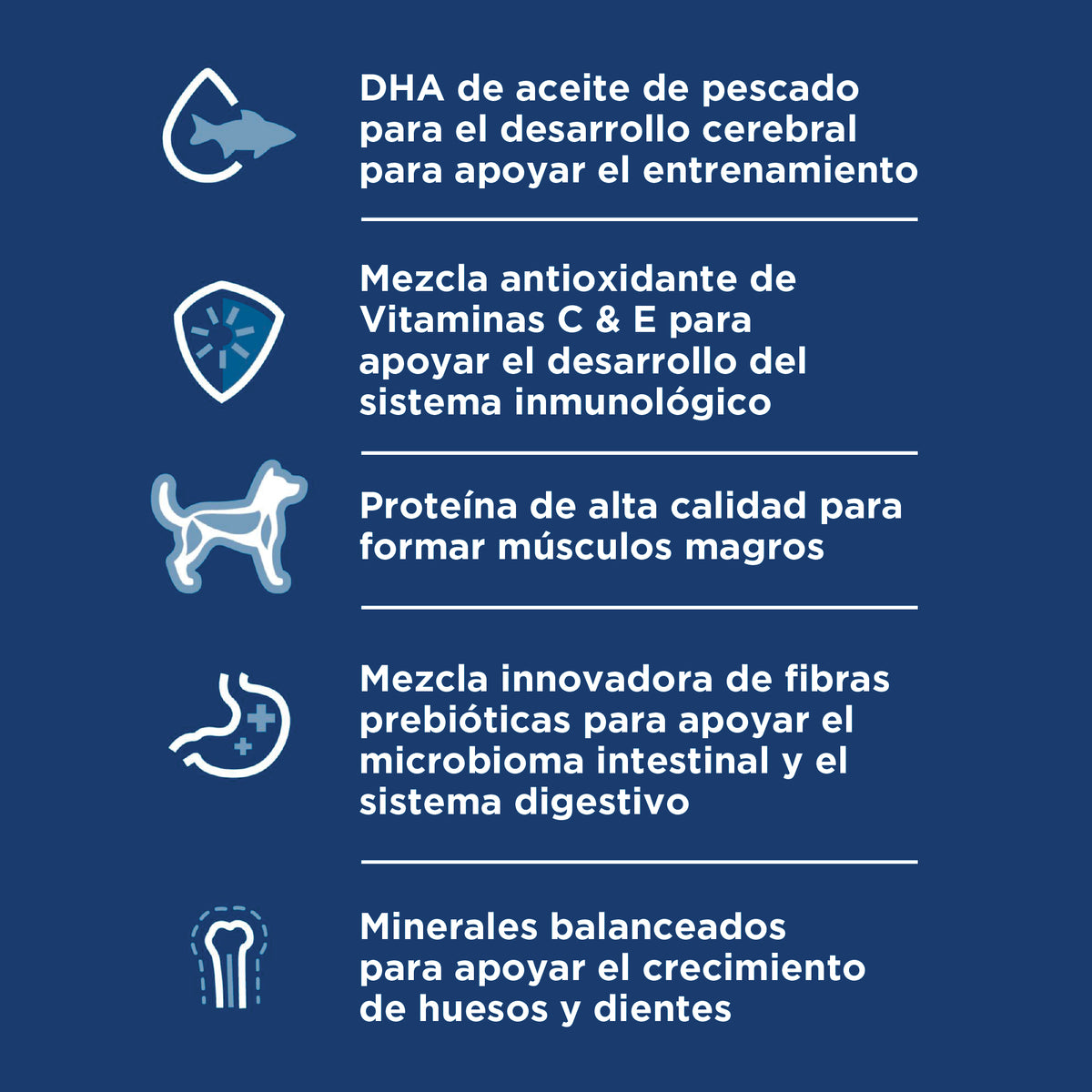 Hill's Science Diet Puppy Small & Mini – Alimento Seco para Cachorros de Razas Pequeñas y Mini