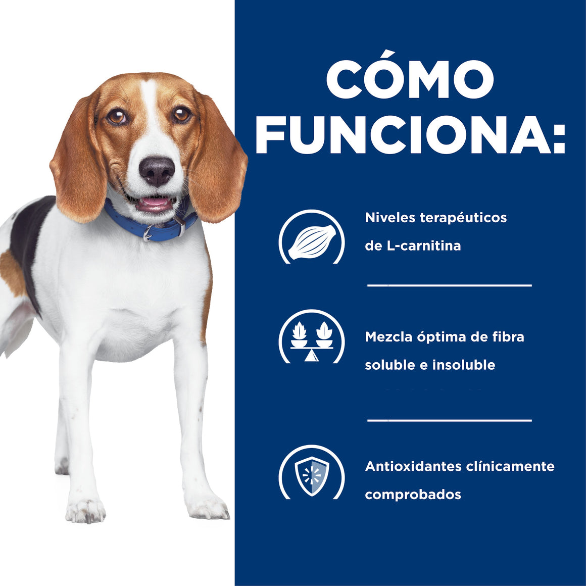 Hill's Prescription Diet r/d Control de Peso – Alimento Seco para Perros 1,5 kg