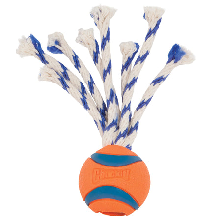 Chuckit! Ultra Toss – Pelota con Cuerda Talla M
