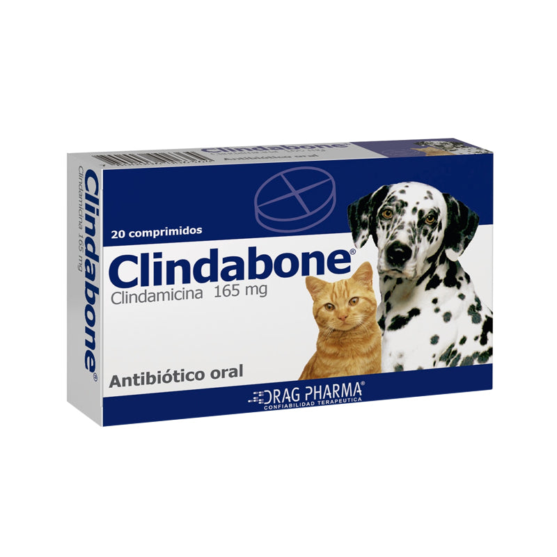 Clindabone Clindamicina 165mg 20 comp