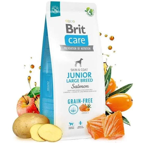 Brit Junior Large Breed Salmon