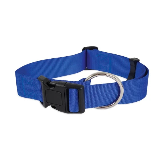 COLLAR AJUSTABLE AZUL S (DVPET)