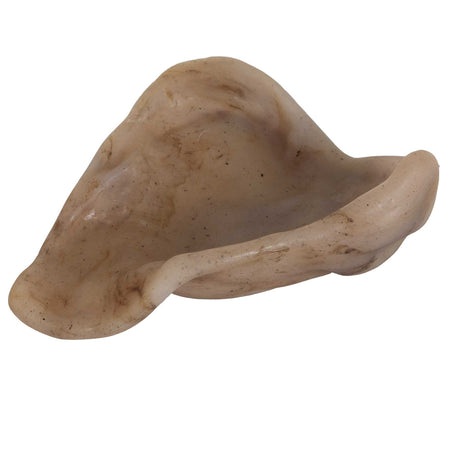 BarkBone Oreja de Cerdo de Nylon Sabor Tocino – Talla S