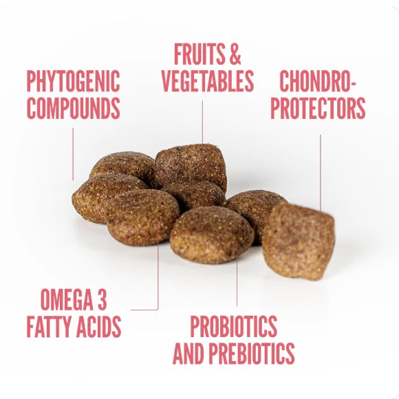 SUMMIT 10 WHOLE CHOICE CAT NEUTERED