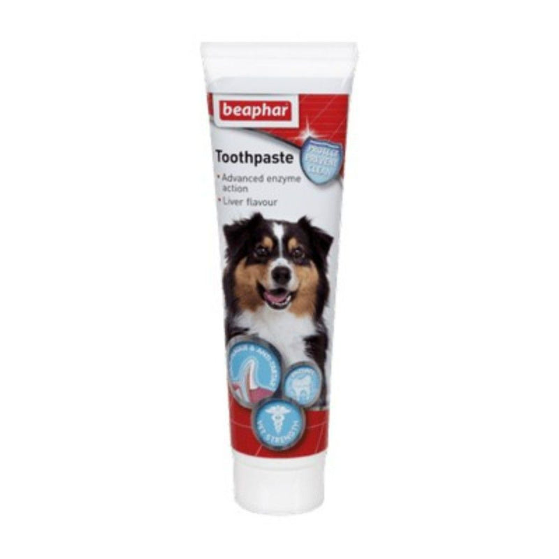 Pasta Dental 100G Beaphar