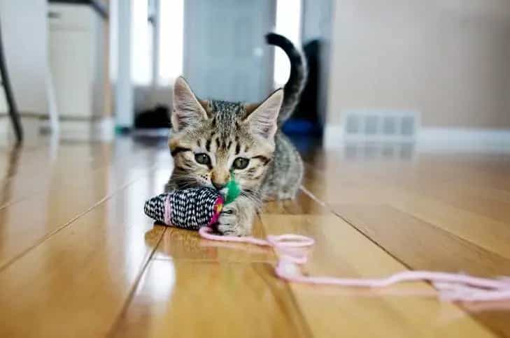 Accesorios