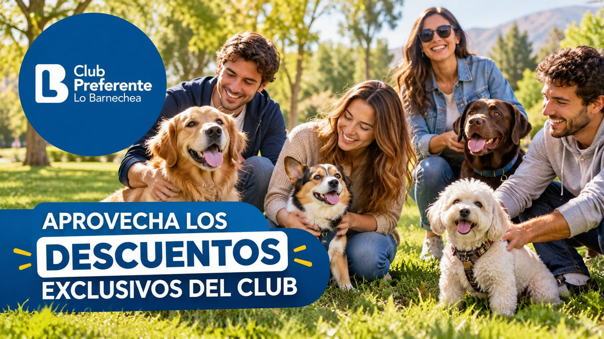 Club Preferente Lo Barnechea: aprovecha los descuentos exclusivos del club