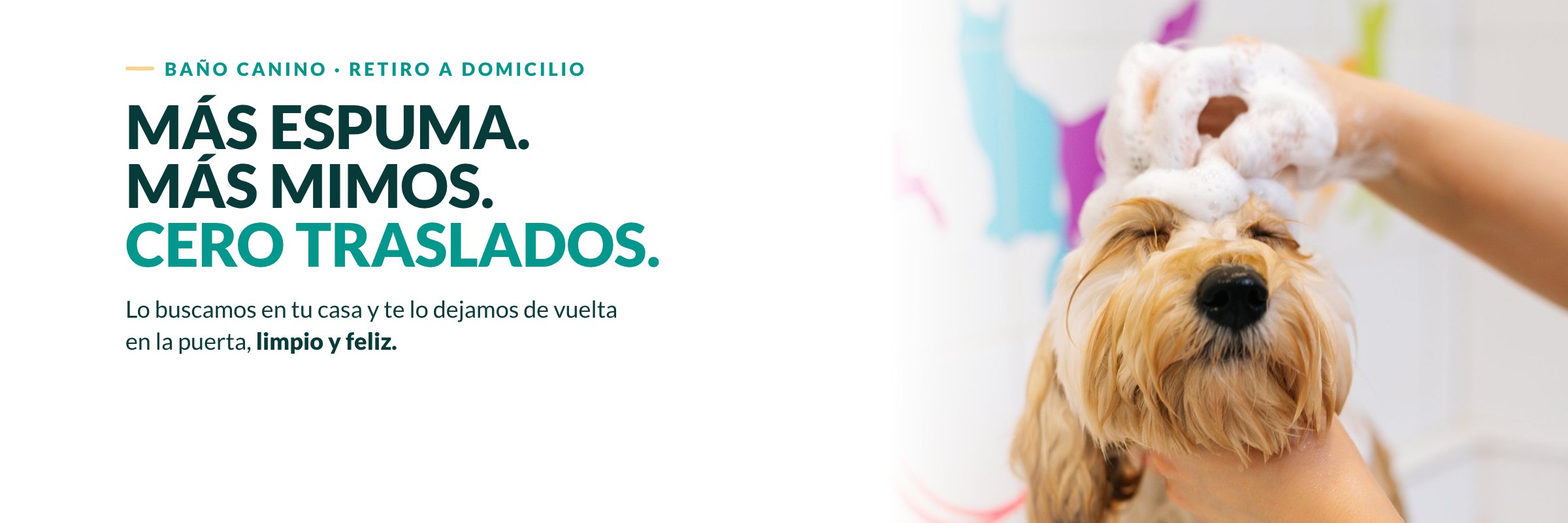 Baño canino con retiro a domicilio: Más espuma. Más mimos. Cero traslados.