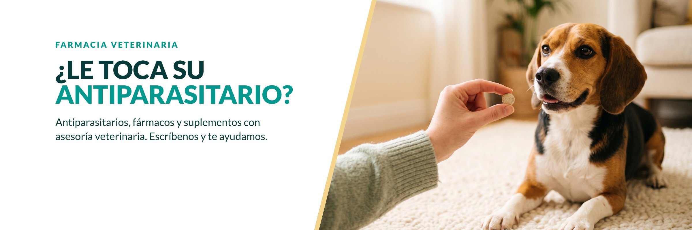 Farmacia veterinaria: ¿Le toca su antiparasitario?